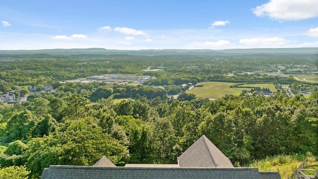4079 Brock Rd, Chattanooga, TN 37421 - photo 72