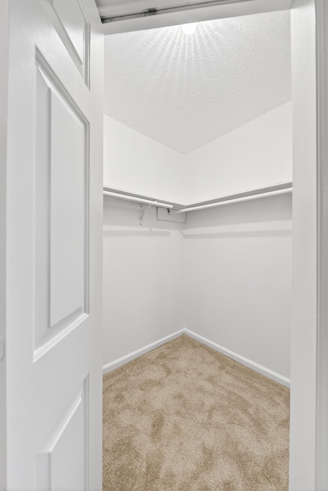 138 Hedgelawn Dr, Hendersonville, TN 37075 - photo 40