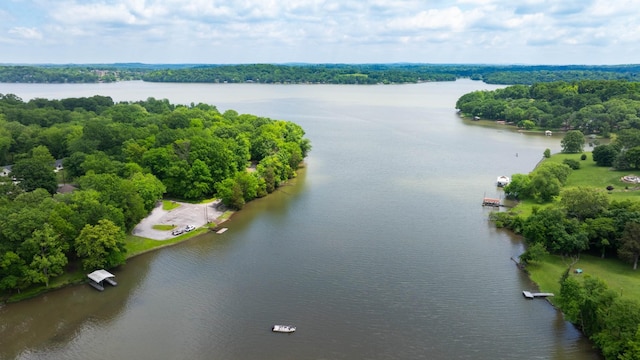 138 Hedgelawn Dr, Hendersonville, TN 37075 - photo 52