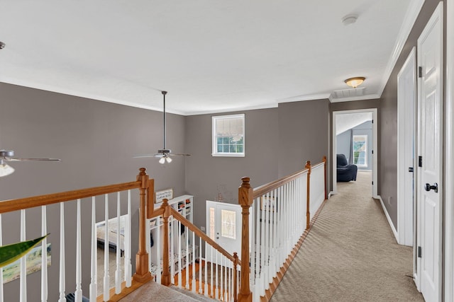 150 Doty Rd, Ashland City, TN 37015 - photo 21