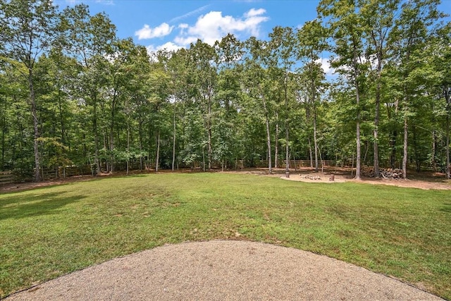 39 Pond Rd, Monterey, TN 38574 - photo 35