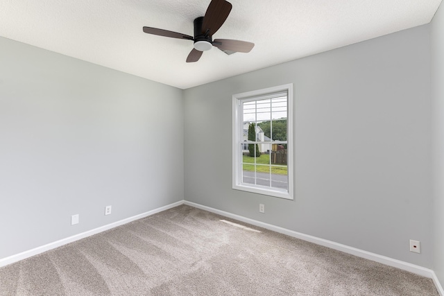 1424 Buchanon Dr, Clarksville, TN 37042 - photo 9