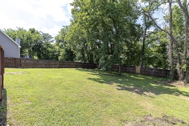 1424 Buchanon Dr, Clarksville, TN 37042 - photo 36
