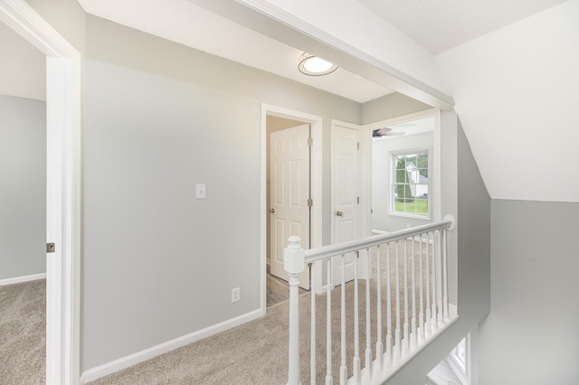 1424 Buchanon Dr, Clarksville, TN 37042 - photo 20