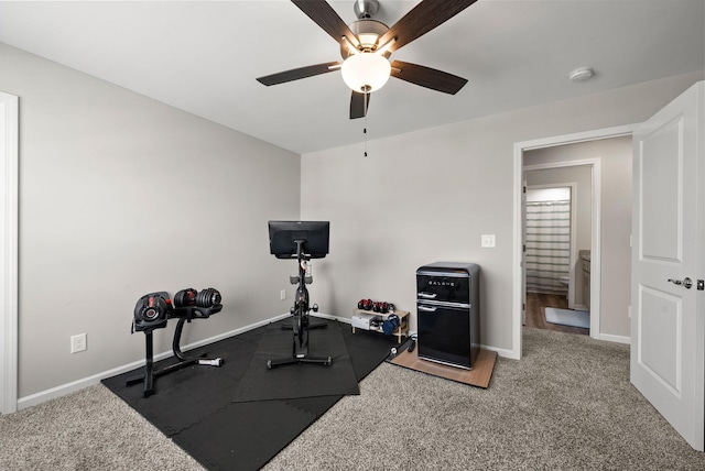 1429 Kingbird Dr, Clarksville, TN 37040 - photo 16