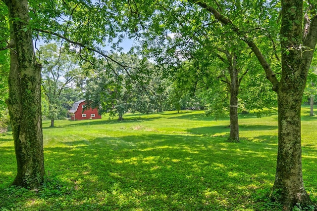 1740 Hudson Rd, Madison, TN 37115 - photo 33