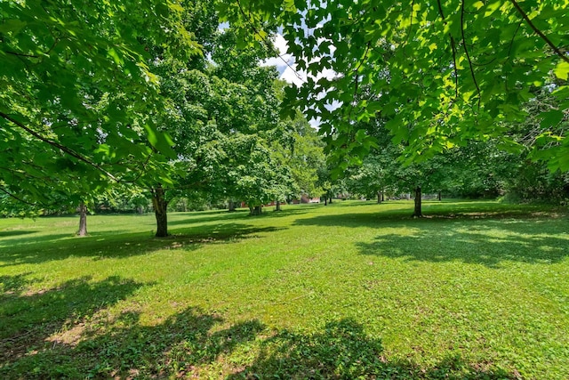 1740 Hudson Rd, Madison, TN 37115 - photo 36