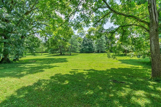 1740 Hudson Rd, Madison, TN 37115 - photo 34