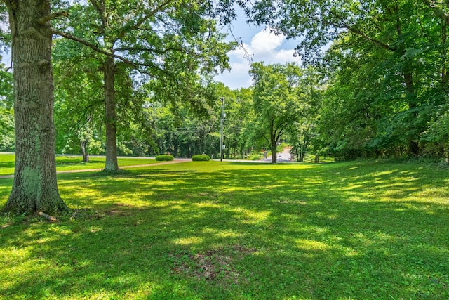1740 Hudson Rd, Madison, TN 37115 - photo 32