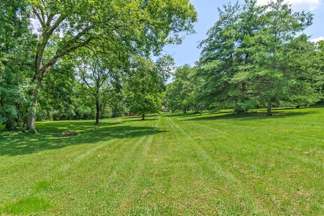 1740 Hudson Rd, Madison, TN 37115 - photo 35