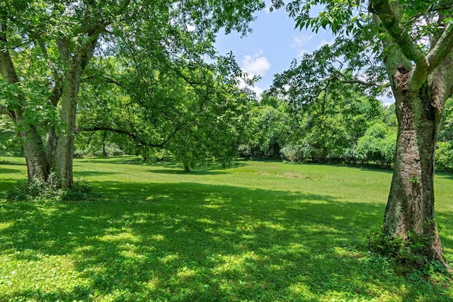 1740 Hudson Rd, Madison, TN 37115 - photo 39