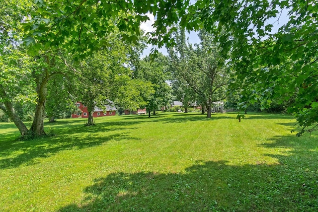 1740 Hudson Rd, Madison, TN 37115 - photo 37