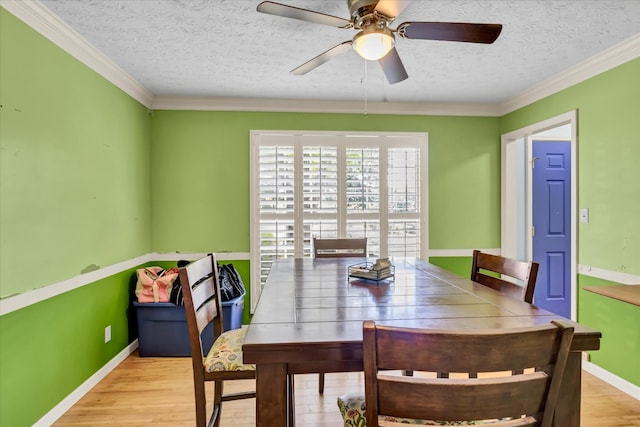 1517 Randall Park Dr, Knoxville, TN 37922 - photo 10