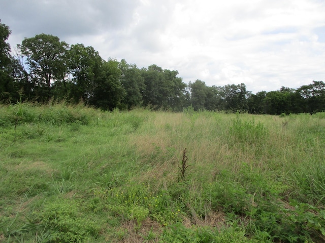 667 Eastover Rd, Lebanon, TN 37090 - photo 34