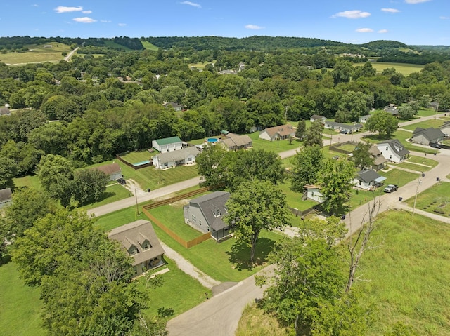 114 Polk St, Cornersville, TN 37047 - photo 19
