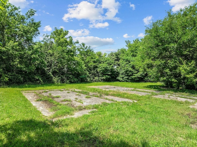 215 N College St, Lebanon, TN 37087 - photo 14
