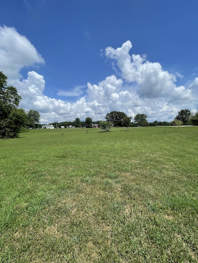 1316 Abiff Rd, Bon Aqua, TN 37025 - photo 3