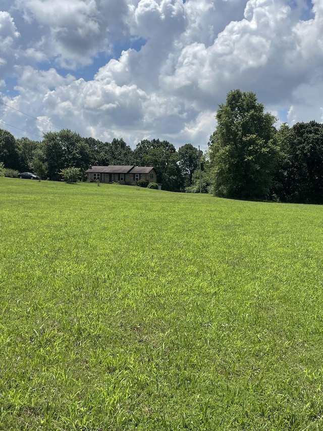1316 Abiff Rd, Bon Aqua, TN 37025 - photo 2