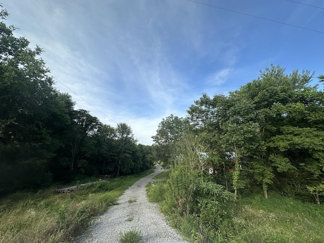 509 Iron Hill Rd, Burns, TN 37029 - photo 3