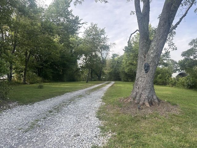 509 Iron Hill Rd, Burns, TN 37029 - photo 5
