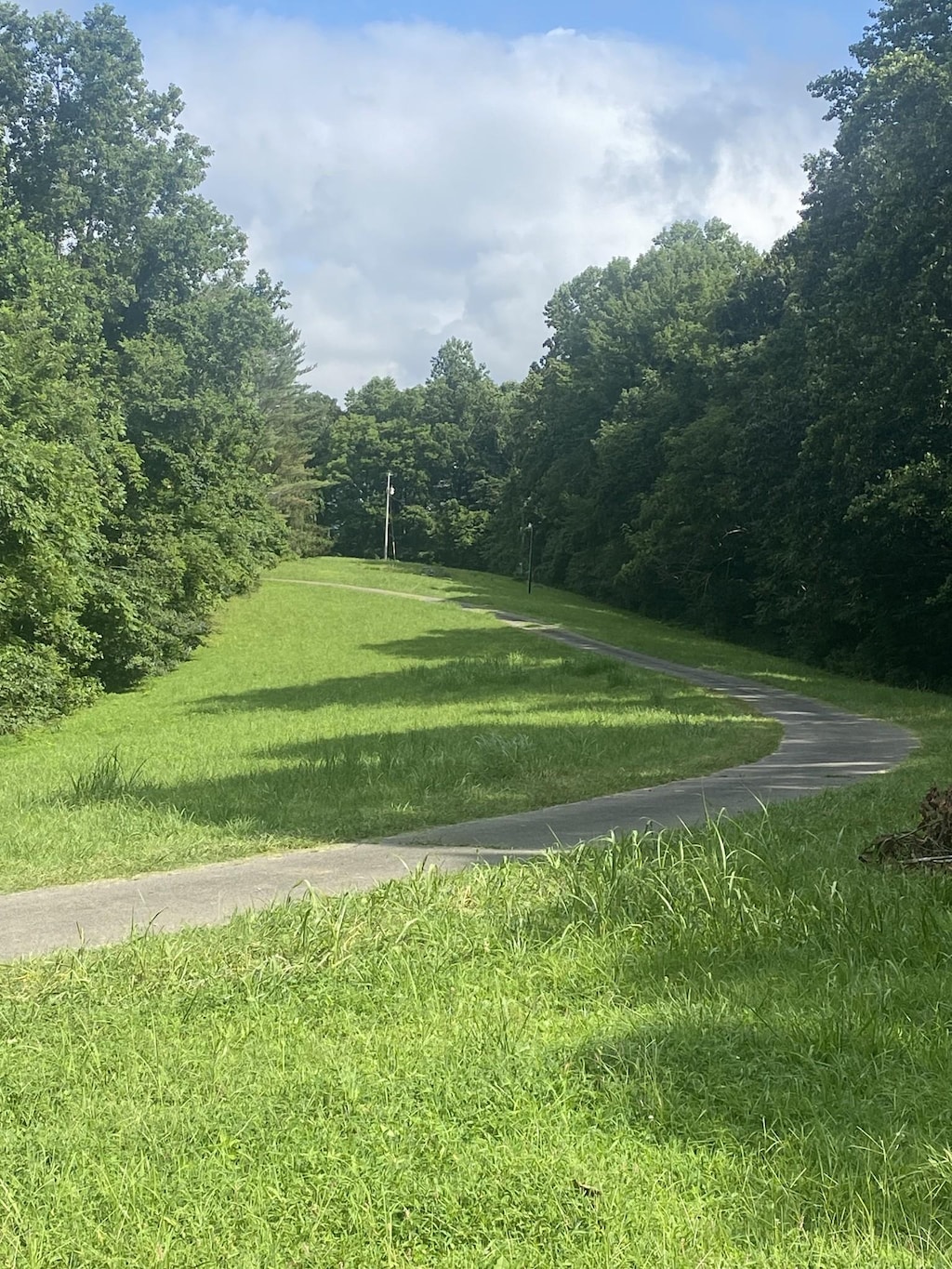 1448 Williams Hollow Rd, Pulaski, TN 38478 - photo 2