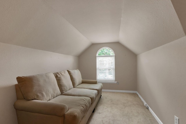 207 Black Hawk Way, Murfreesboro, TN 37127 - photo 22