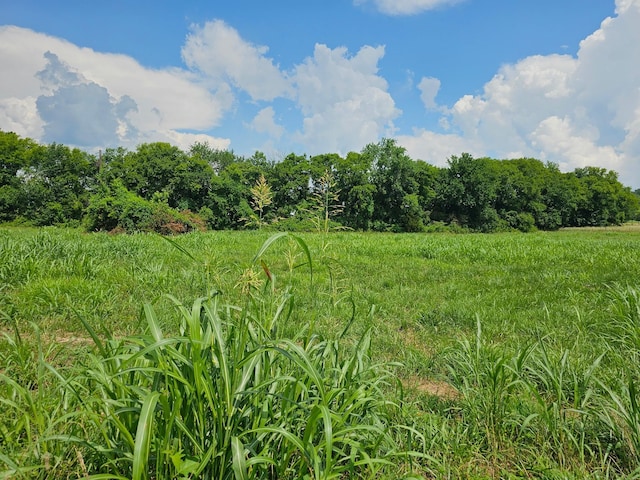 2985 Lewisburg Hwy, Petersburg, TN 37144 - photo 10