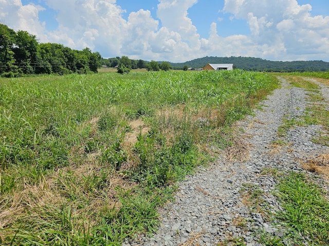 2985 Lewisburg Hwy, Petersburg, TN 37144 - photo 8