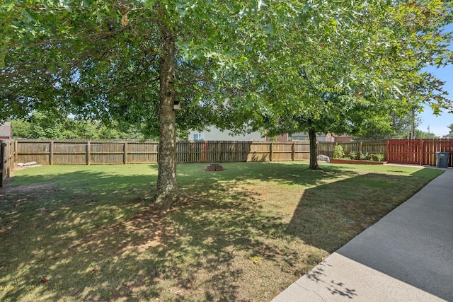 118 Nick Price Dr, Murfreesboro, TN 37129 - photo 36