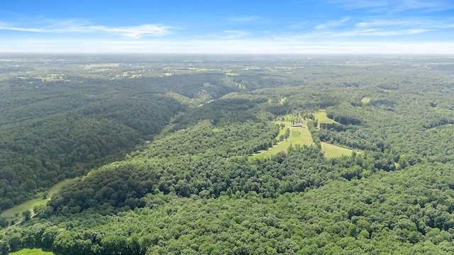 2200 Gimlet Creek Rd, Lawrenceburg, TN 38464 - photo 11