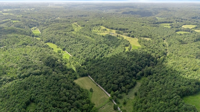 2200 Gimlet Creek Rd, Lawrenceburg, TN 38464 - photo 6