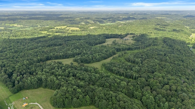 2200 Gimlet Creek Rd, Lawrenceburg, TN 38464 - photo 34