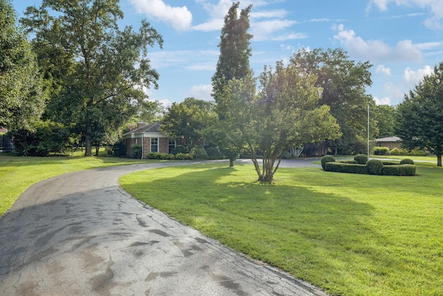 115 Vossland Dr, Nashville, TN 37205 - photo 47