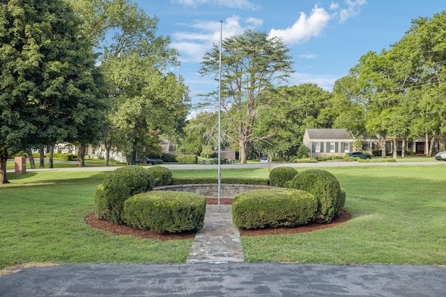 115 Vossland Dr, Nashville, TN 37205 - photo 49