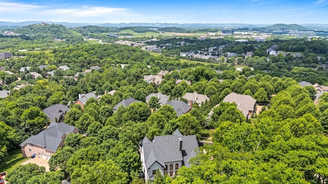 219 King Arthur Cir, Franklin, TN 37067 - photo 45