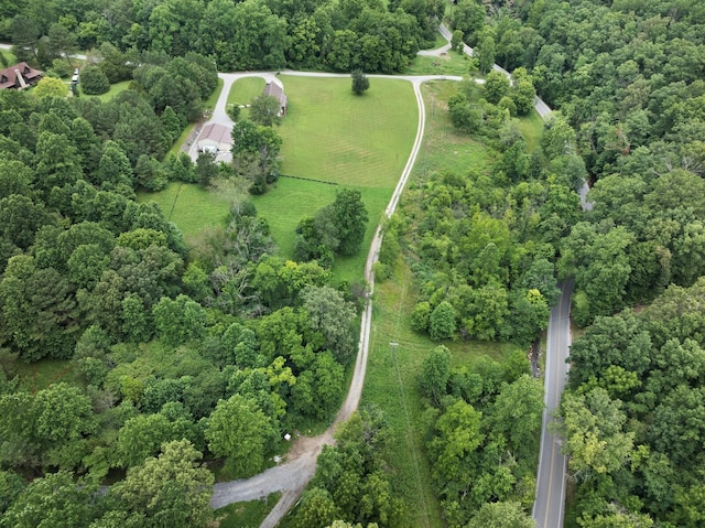 0 Sleepy Hollow Ln, Fairview, TN 37062 - photo 5