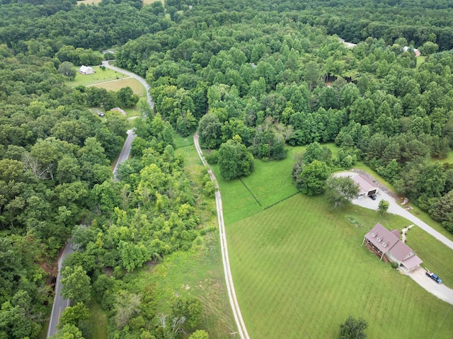 0 Sleepy Hollow Ln, Fairview, TN 37062 - photo 4