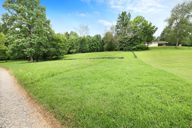 0 Sleepy Hollow Ln, Fairview, TN 37062 - photo 8