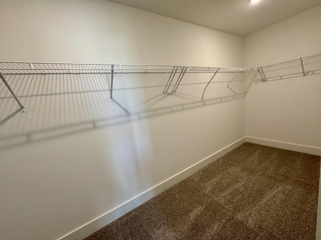 4024 Runyan Cv, Murfreesboro, TN 37127 - photo 19