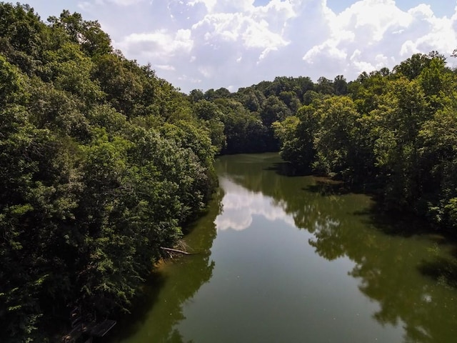 0 Admiral Point Dr, Rock Island, TN 38581 - photo 9