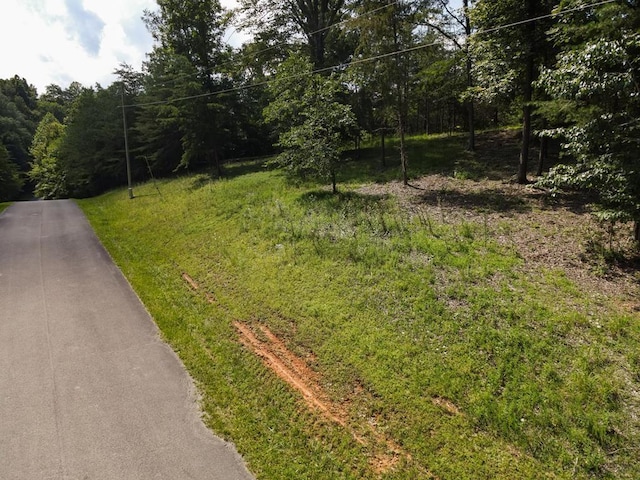 0 Admiral Point Dr, Rock Island, TN 38581 - photo 4