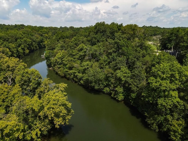 0 Admiral Point Dr, Rock Island, TN 38581 - photo 11