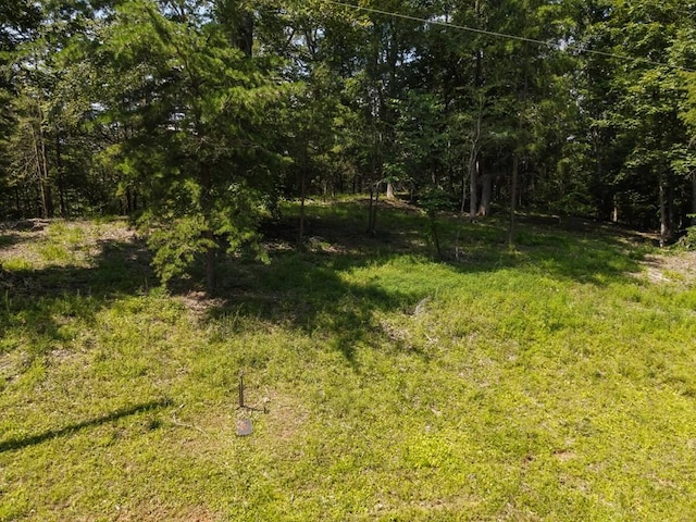 0 Admiral Point Dr, Rock Island, TN 38581 - photo 13