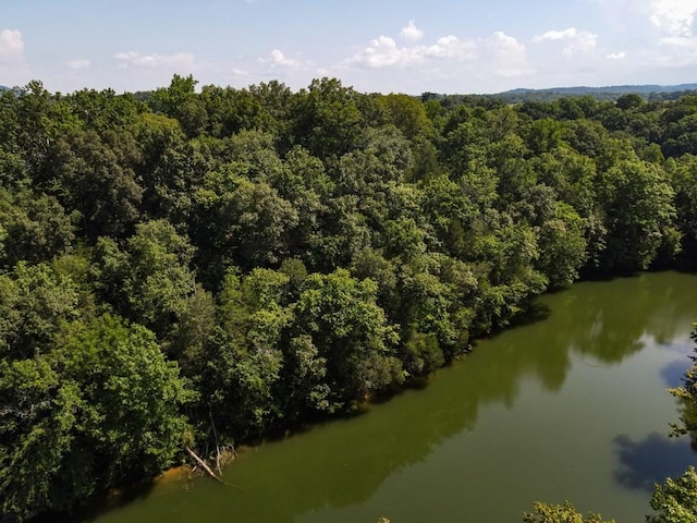 0 Admiral Point Dr, Rock Island, TN 38581 - photo 10
