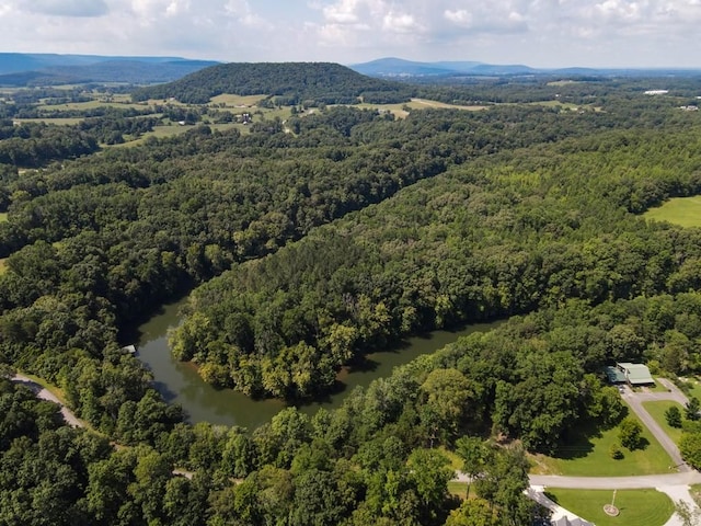 0 Admiral Point Dr, Rock Island, TN 38581 - photo 6