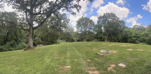 1040 Corlew Rd, White Bluff, TN 37187 - photo 4
