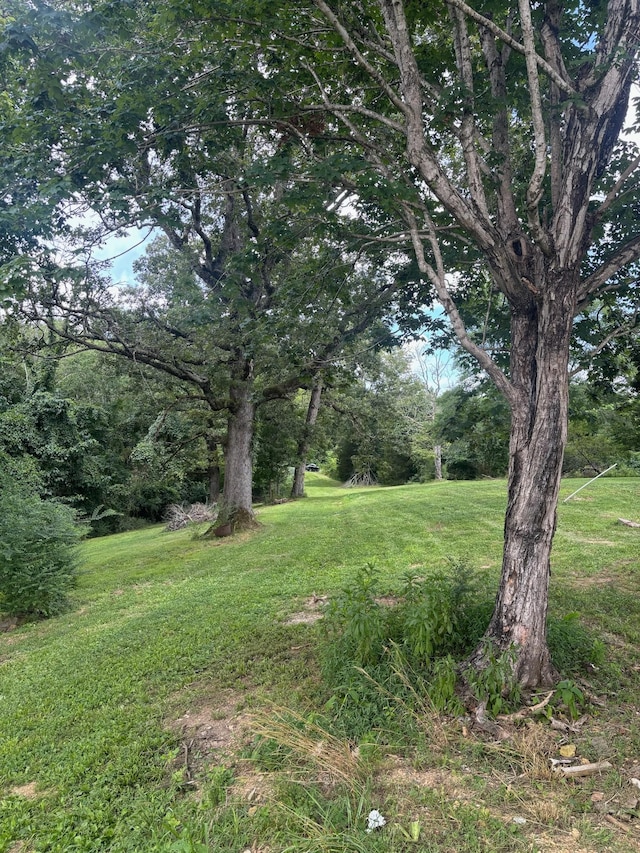 1040 Corlew Rd, White Bluff, TN 37187 - photo 1