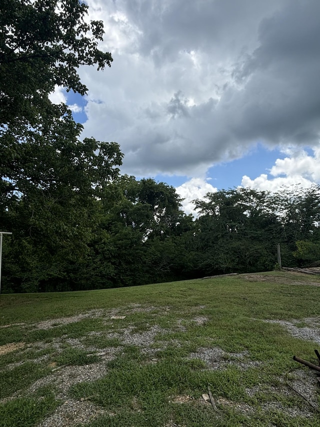 1040 Corlew Rd, White Bluff, TN 37187 - photo 8