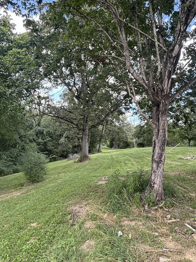 1040 Corlew Rd, White Bluff, TN 37187 - photo 7