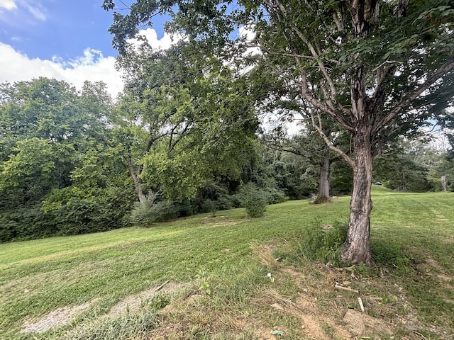 1040 Corlew Rd, White Bluff, TN 37187 - photo 3